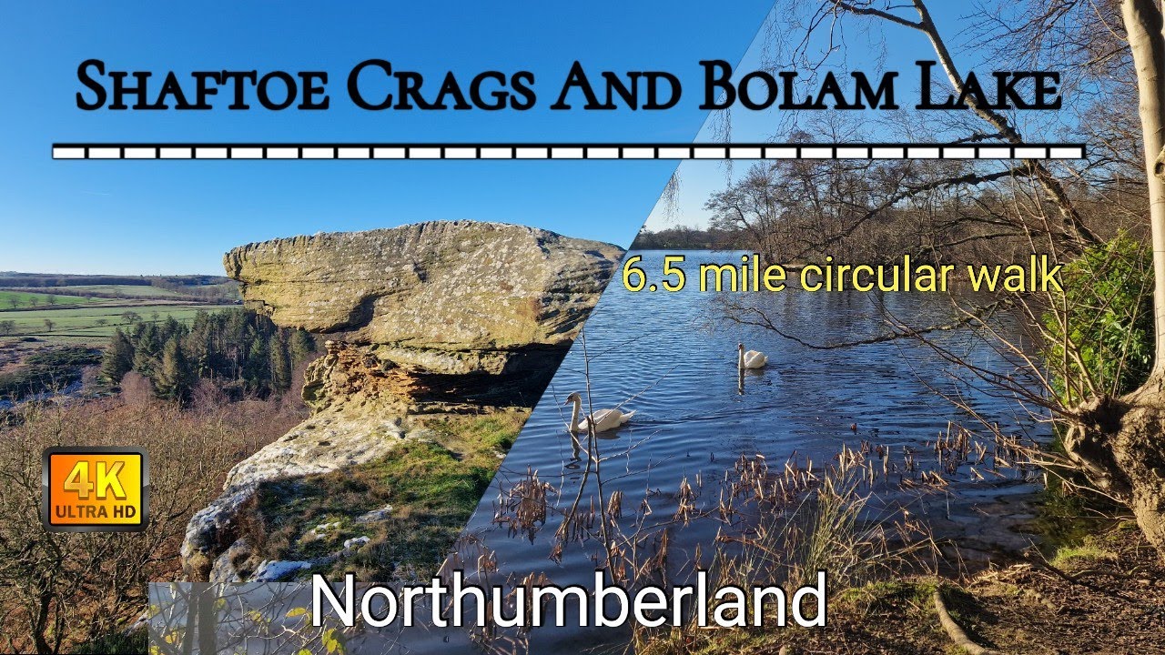 Bolam Lake to Shaftoe Crags Loop