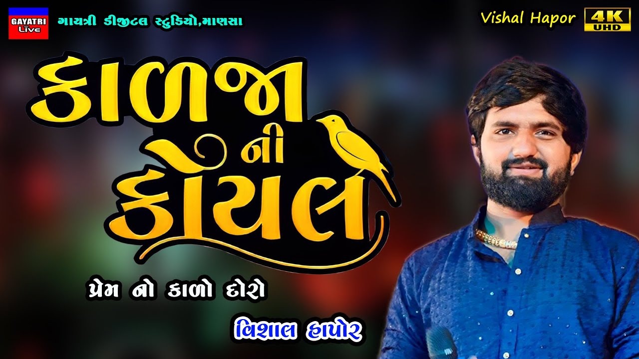 Vishal Hapor-કાળજા ની કોયલ -Kalja Ni Koyal-Non Stop Live Garba Program-New Gujarati Trending Song