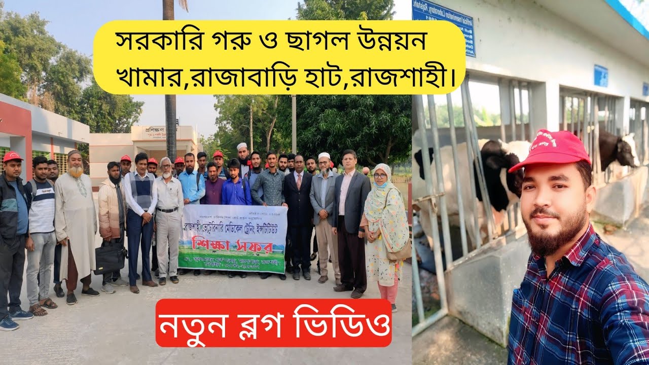 সরকারি গরু-ছাগল উন্নয়ন খামার রাজাবাড়ীহাট| রাজশাহী | একদিনের শিক্ষামূলক সফর|mollahkrishitv|