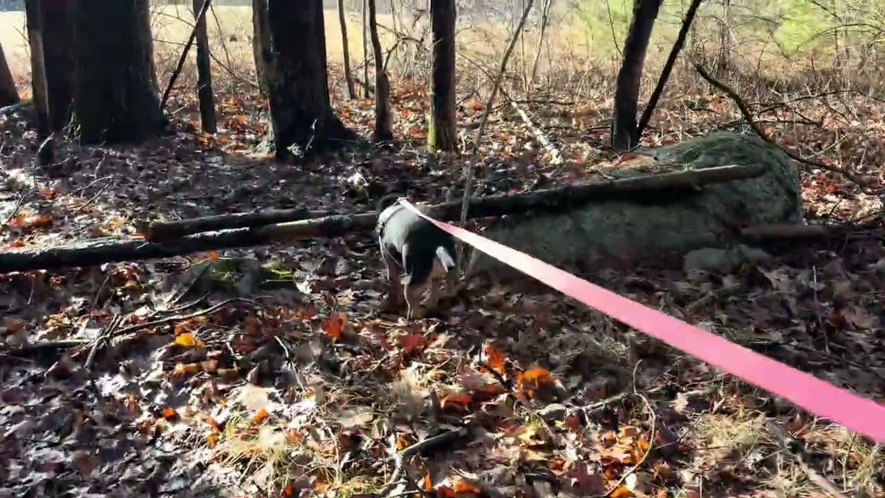 Searching for a Lost Mill