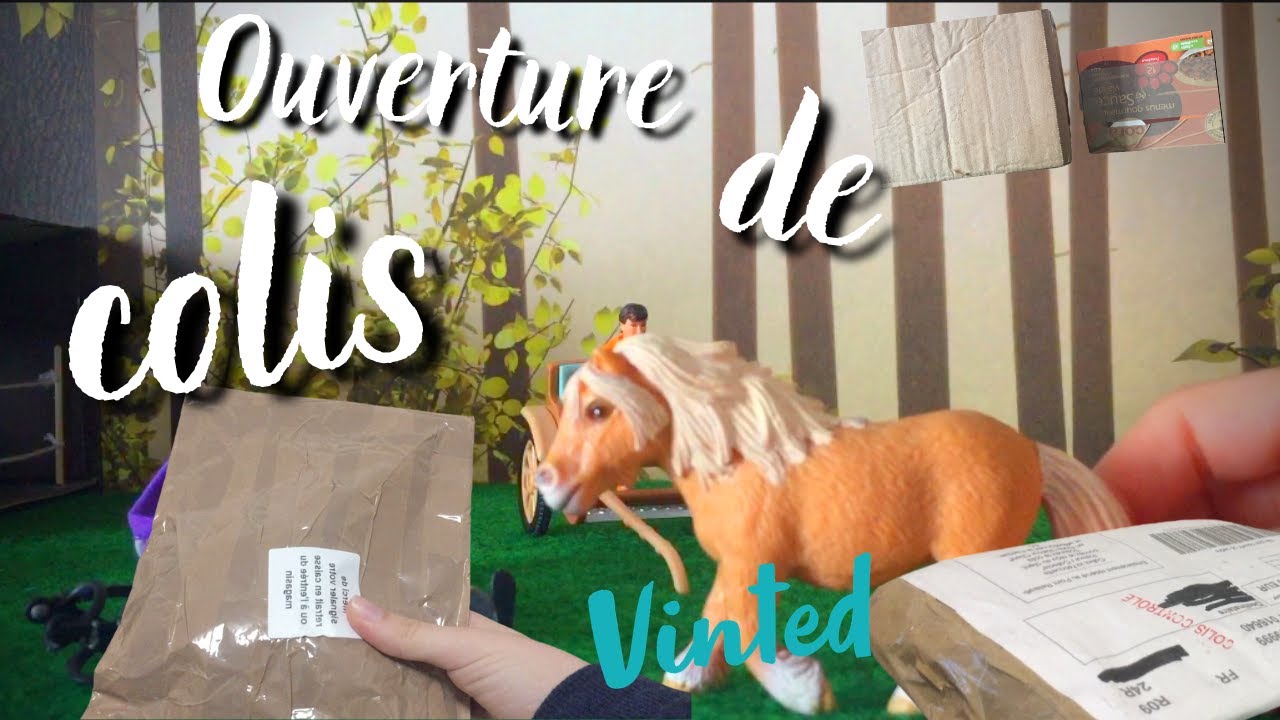 J'ouvre des colis Vinted