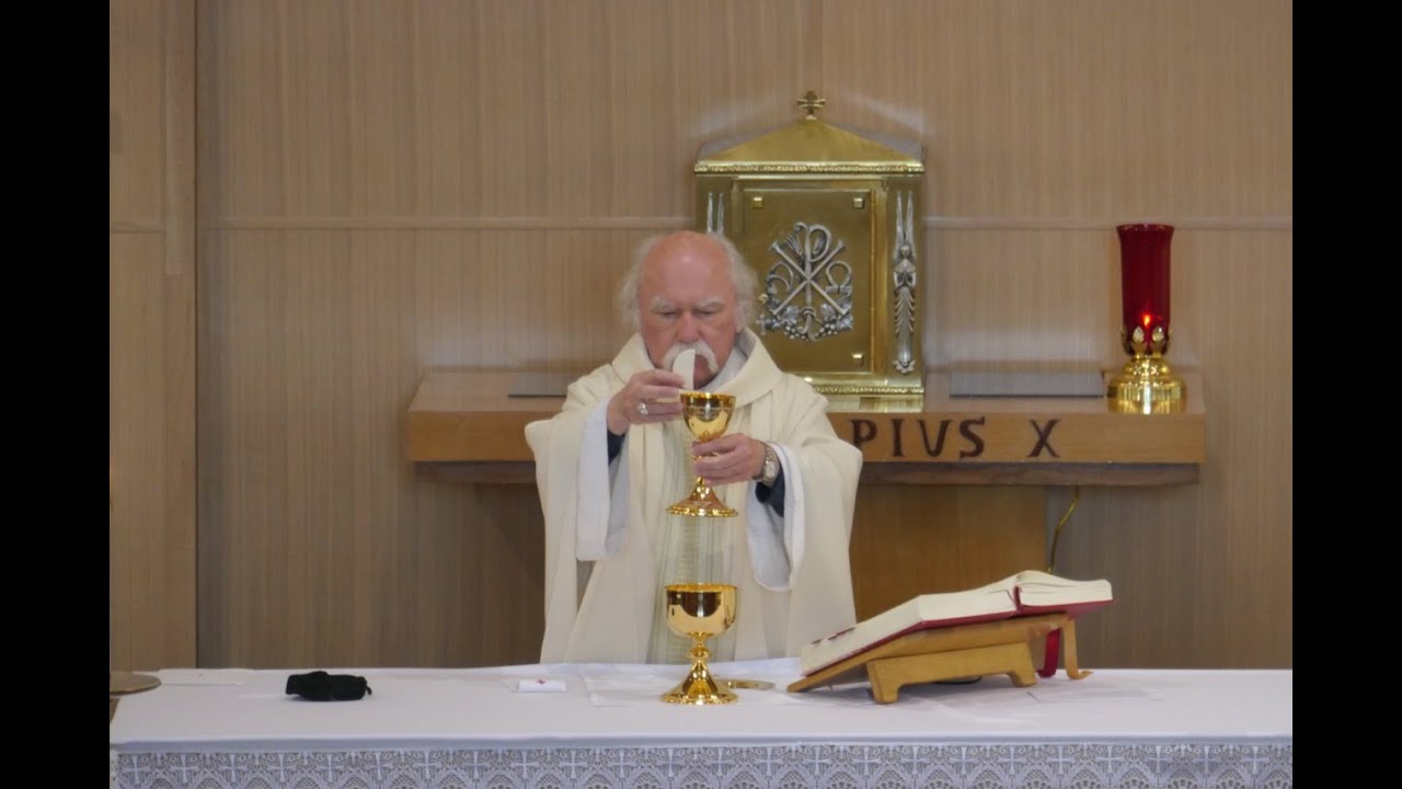 Why don't Catholics Drink the Chalice