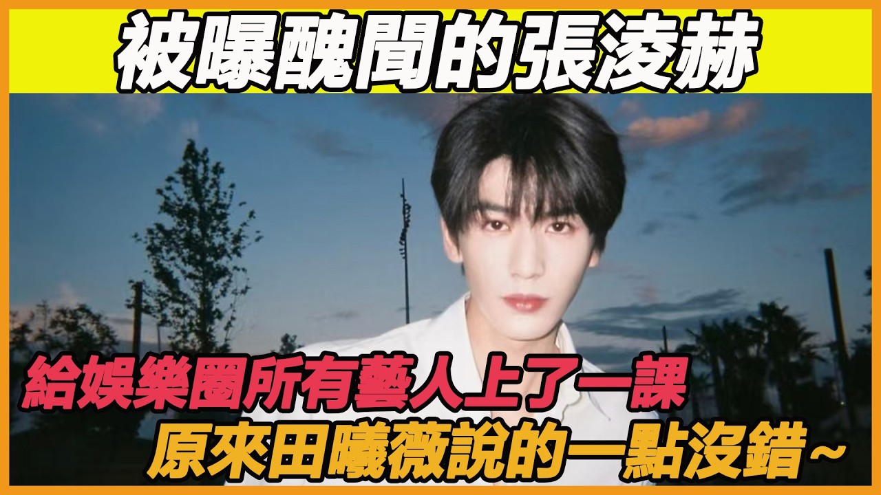 被曝醜聞的張淩赫，給娛樂圈所有藝人上了一課，原來田曦薇說的一點沒錯~