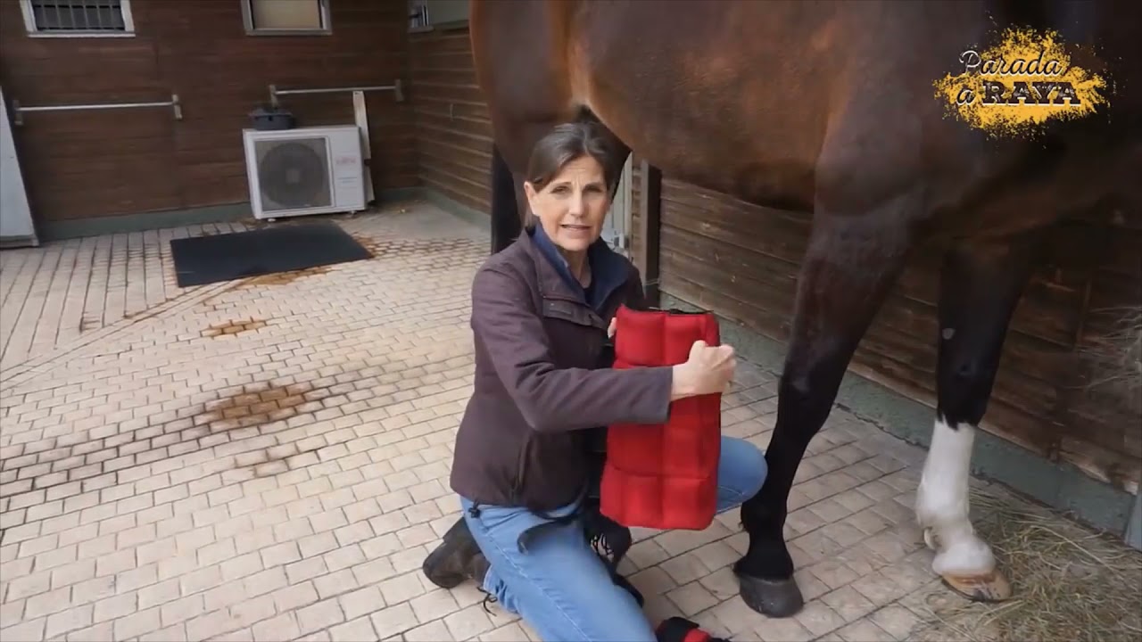 Cómo aplicar frío a nuestros caballos