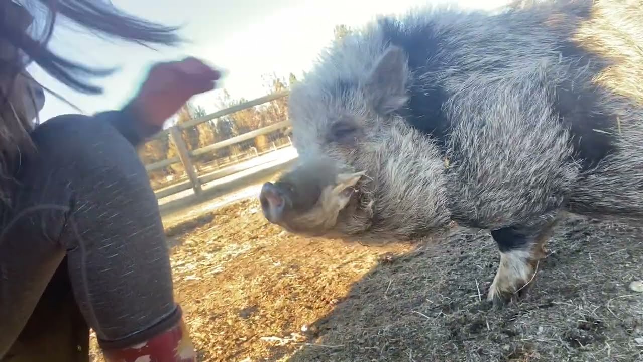 FREEZING at the FARM take a tour with us
