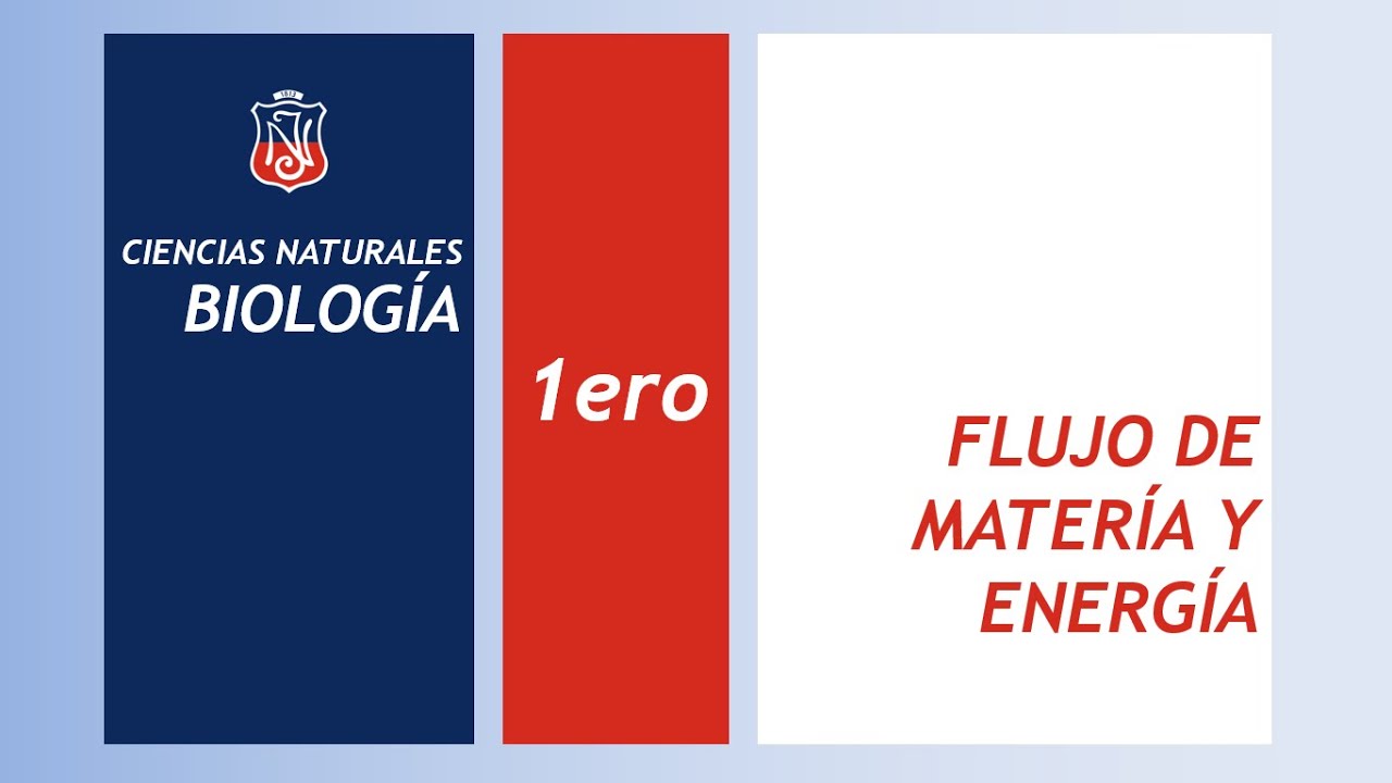 Flujo de materia y energía en Ecosistemas