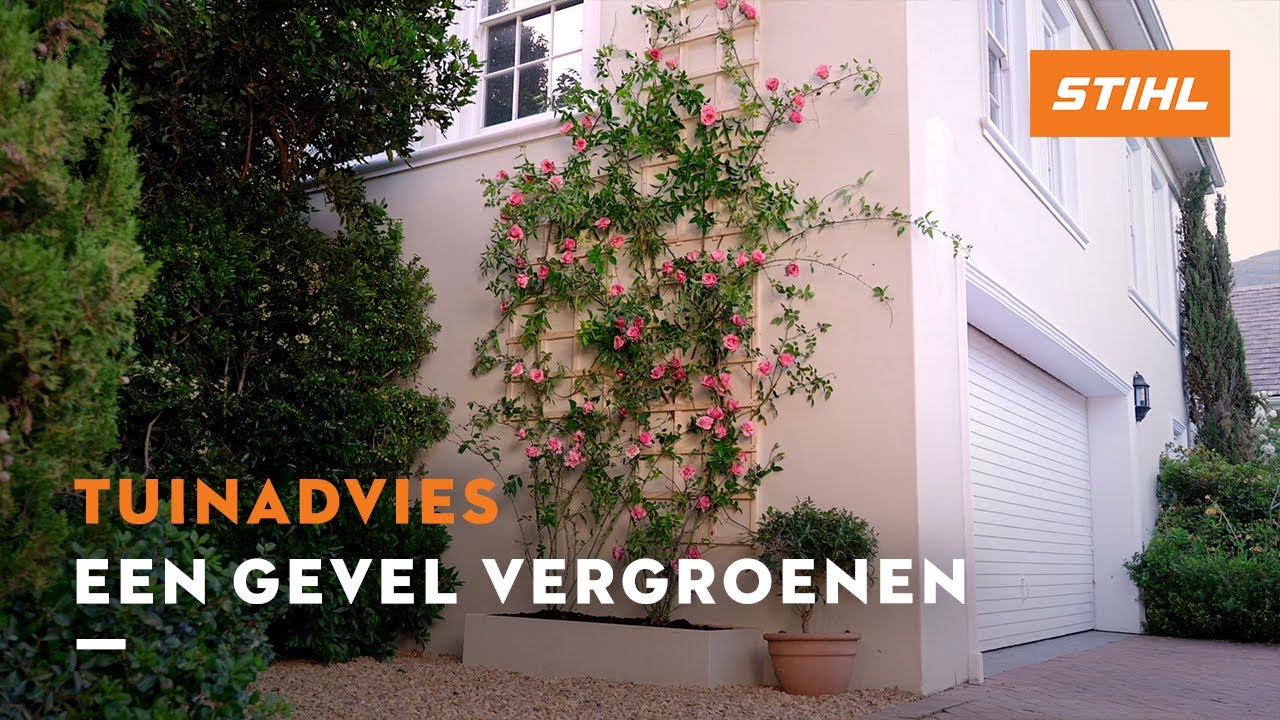 Een gevel vergroenen - STIHL Tuintips