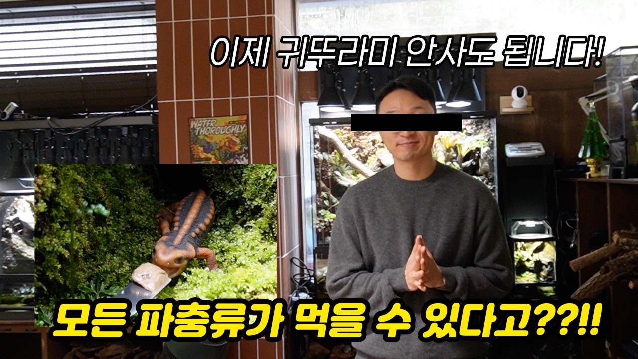 *파충류 키우는 사람 주목! 역대급 사료를 가지고 온 분이 계십니다. 정체가 뭐여??
