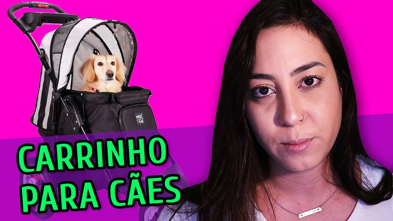 CARRINHO PARA CACHORRO É UMA BOA IDEIA?