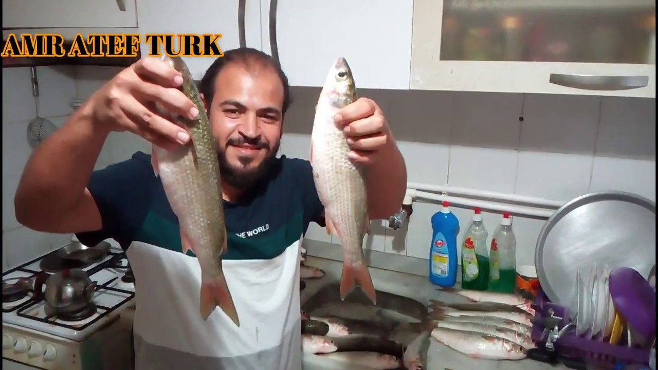 أفضل طريقه صيد السمك بالعيش الفينو من أسهل الطرق في تركيا علي البحر الاسود
