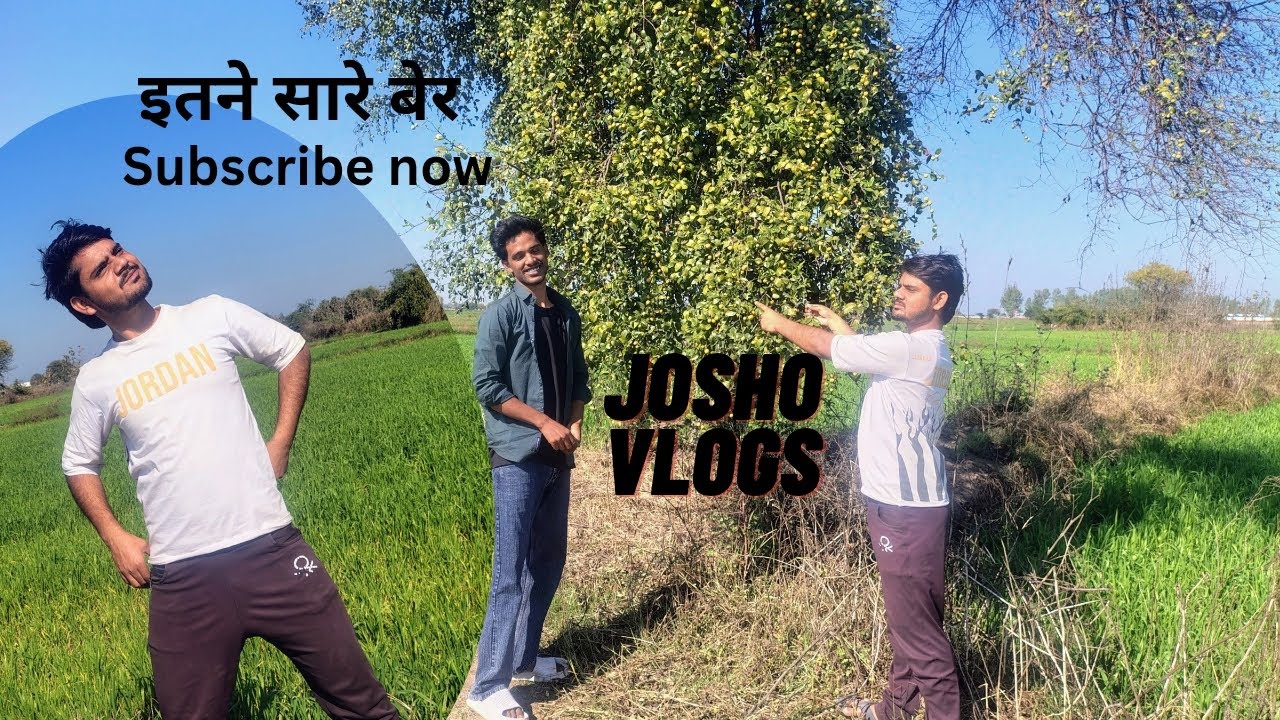 हमारे खेतों पर इतने सारे बेर 😋