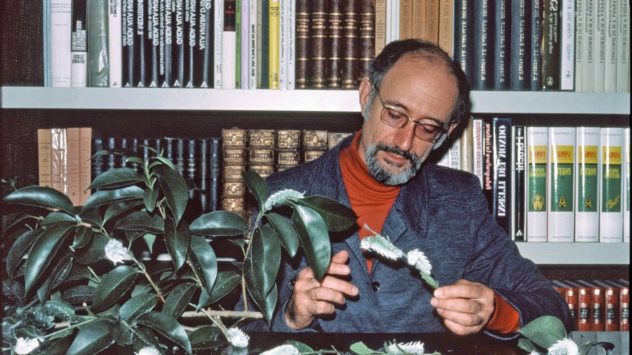 Enrico Stella: AUGURI 2017 – Tutti a pranzo! (L’infanzia delle farfalle)