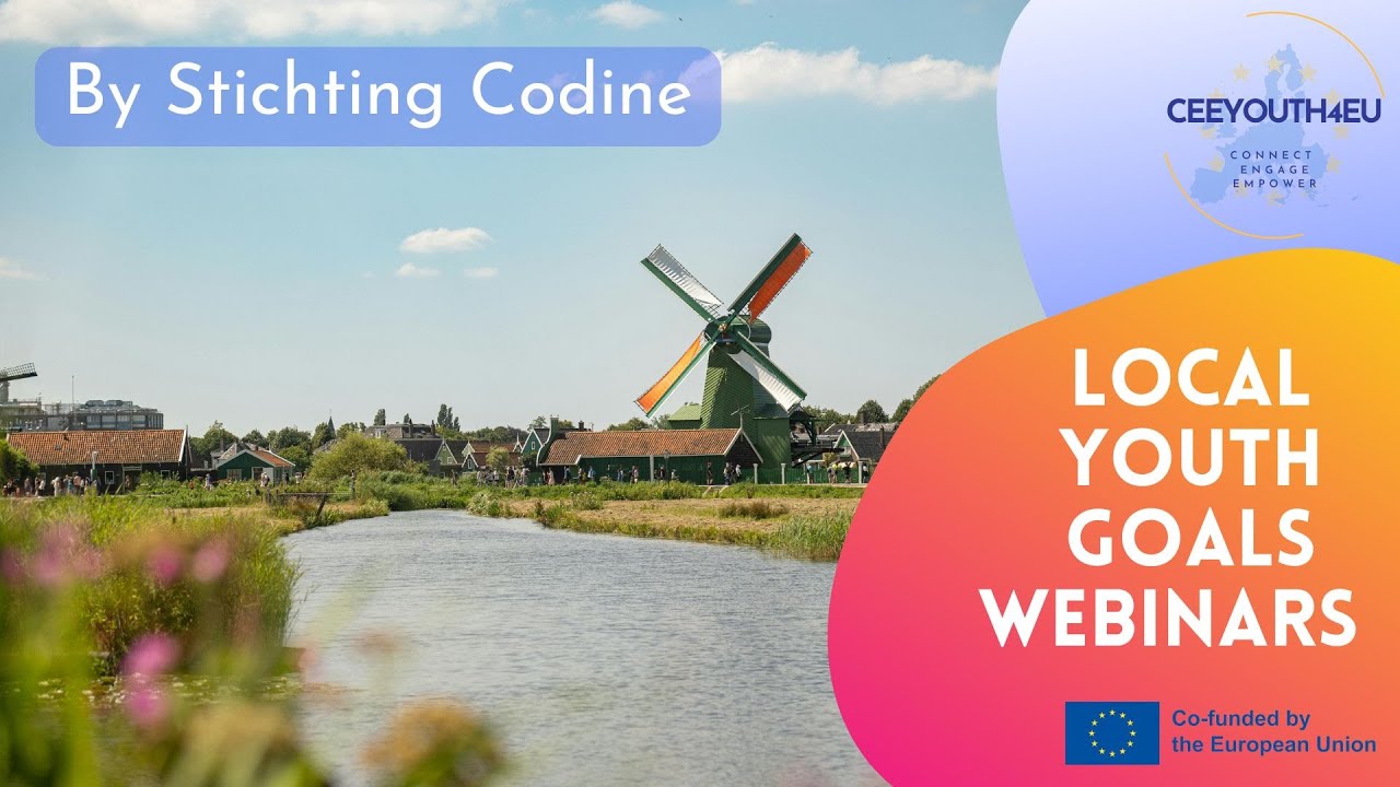CEEYOUTH4EU Local Webinar -by Stiching Codine