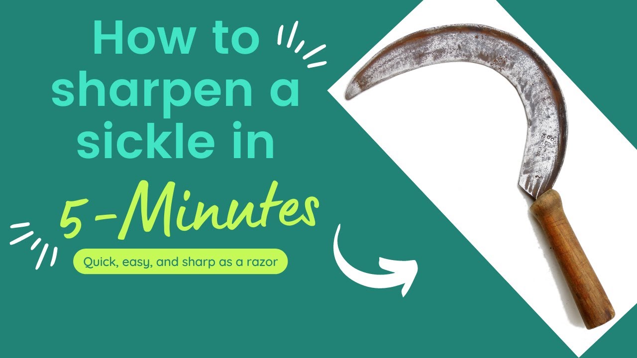 How To Sharpen A Hand Sickle With A Sharpening Stone
