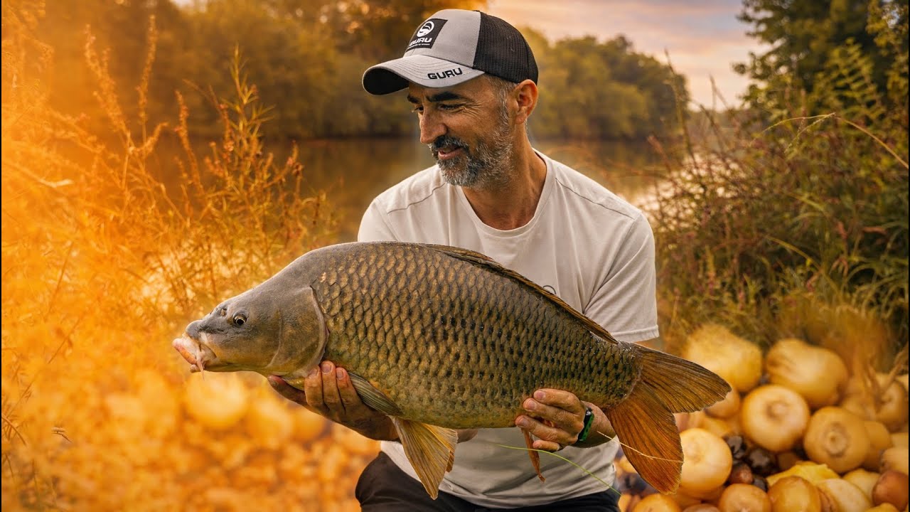 Pêche EXTRÊME : Combat avec des carpes surpuissantes dans le courant du fleuve !