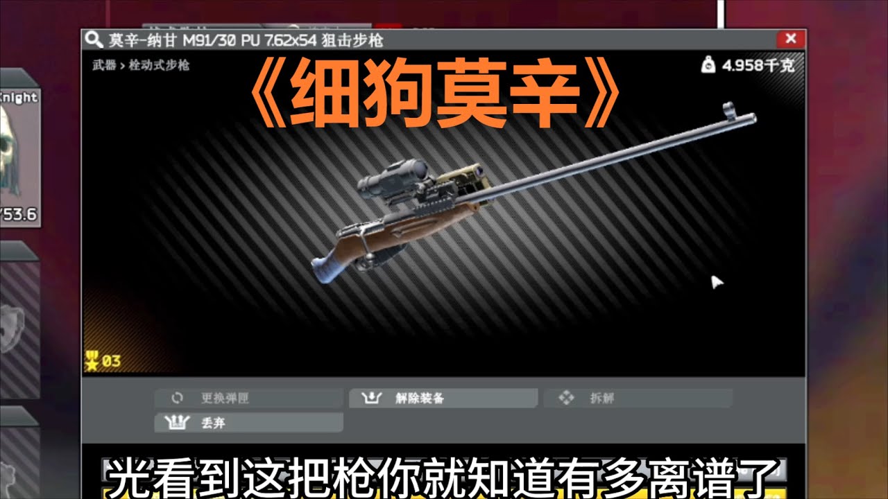 【逃离塔科夫】细狗莫辛加顶级理解 Escape from Tarkov