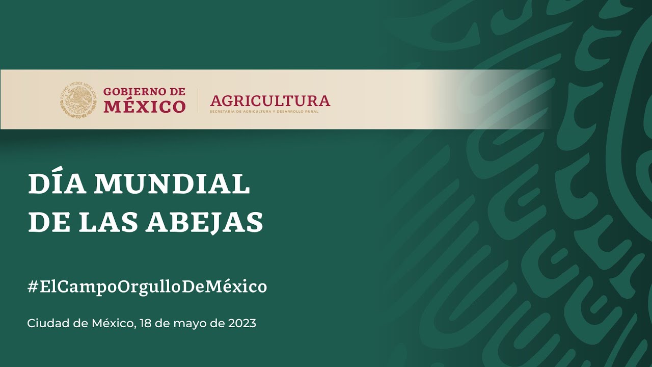 DÍA MUNDIAL DE LAS ABEJAS