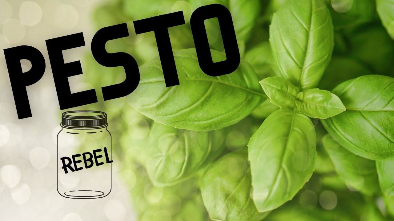 Making Pesto A Quick And Easy Recipe  #rebelcanners