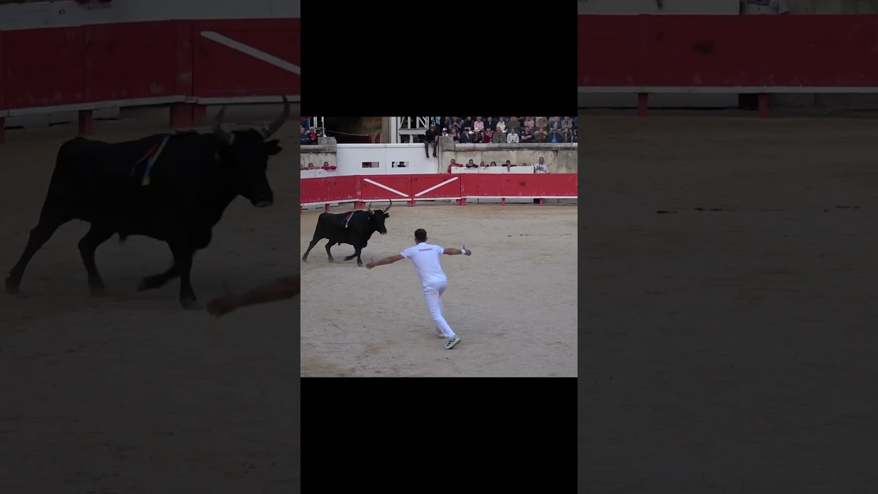 Enorme action de Castella Manade Saumade et  EL GHIATI Nordine a Nimes le 16/05/2024