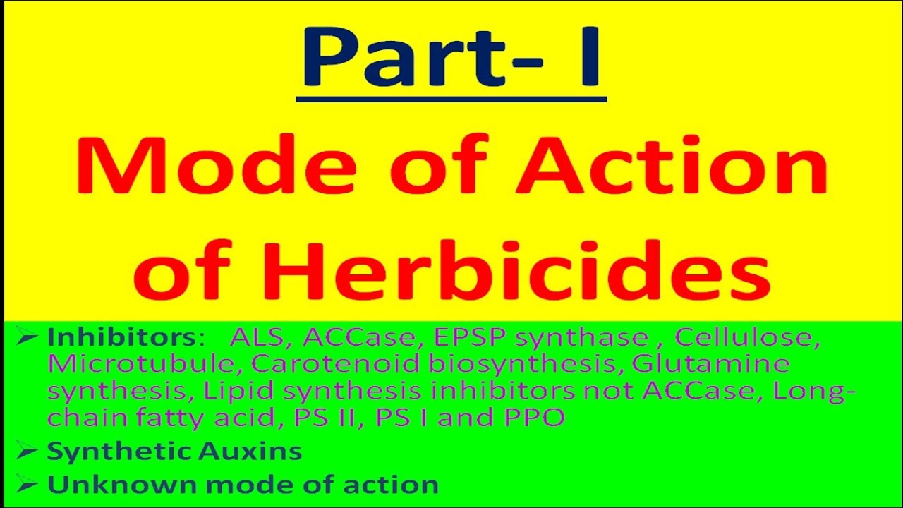 Part I: Mode of Action of Herbicides