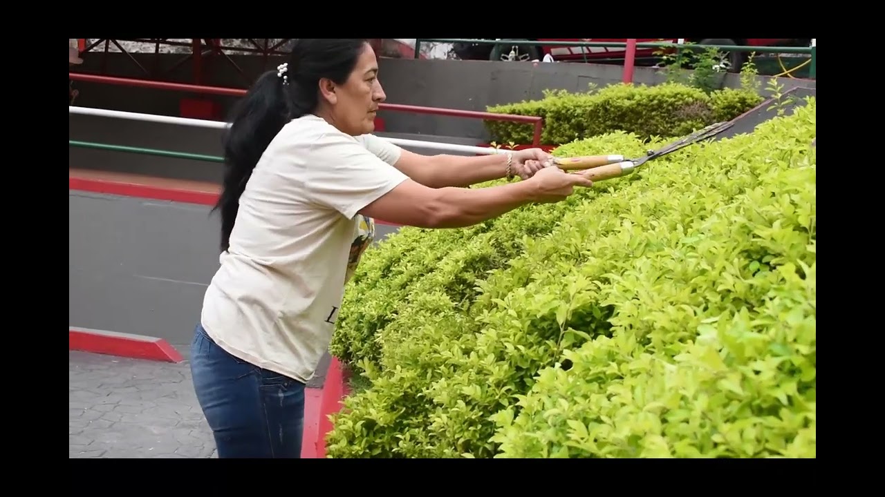 RESUMEN JORDADA DE ORNATO Y EMBELLECIMIENTO DEPARTAMENTAL - LA SALINA CASANARE