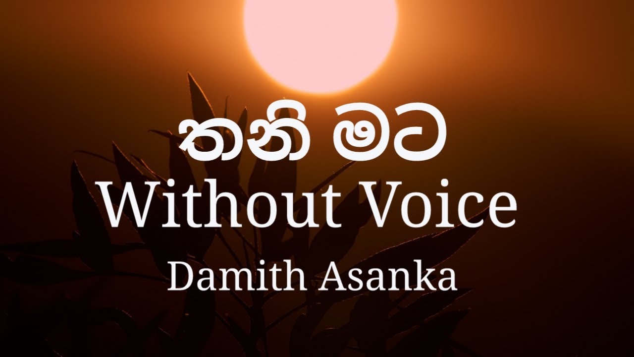 Thani Mata Me Tharamata Ridawa|තනි මට මෙි තරමට රිදවා|Damith Asanka|Without Voice  sinhala