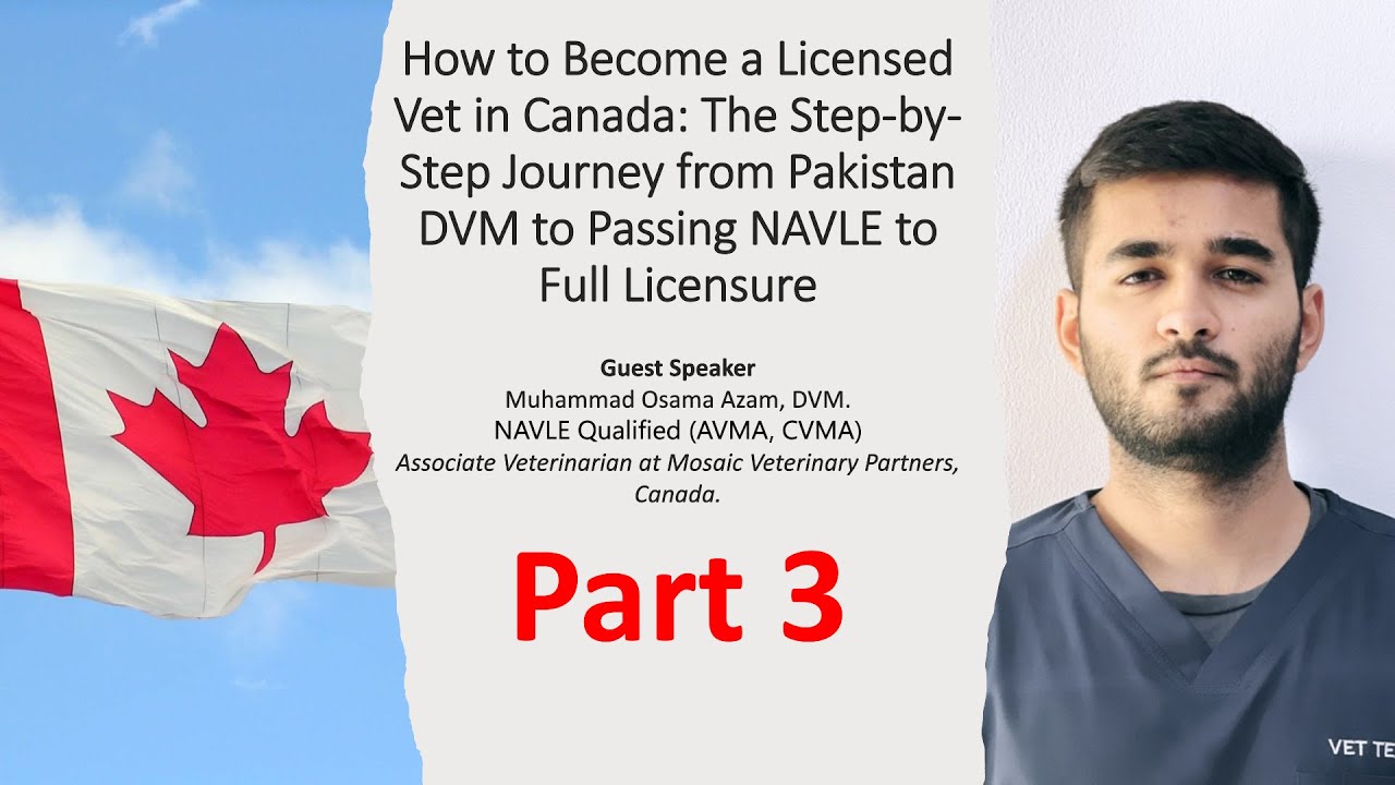 Questions about NAVLE with Vet. Osama (Part 3/3 of zoom session)
