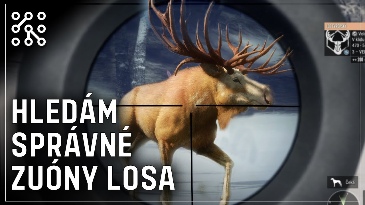 Nejlepší zóny na GO losa | theHunter: Call of the wild CZ |  Česky