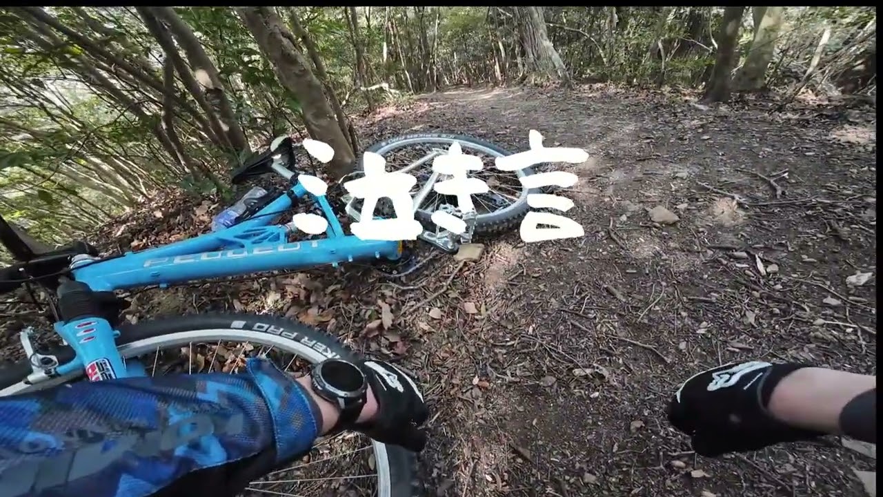 マウンテンバイクで眉山を駆け抜けるつもりだった