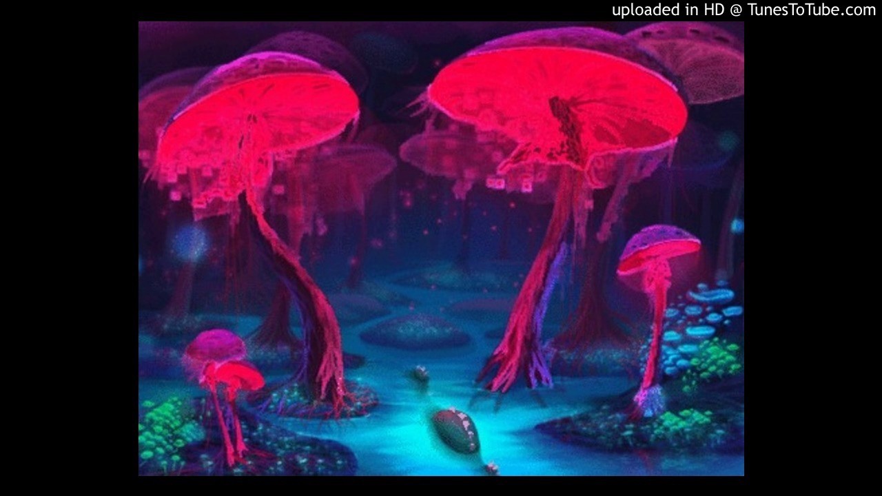 ShOnka - Analog Dream (Original Mix) ॐ
