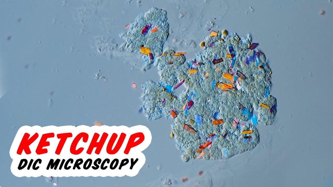 Fresh Tomato & Ketchup Under The Microscope