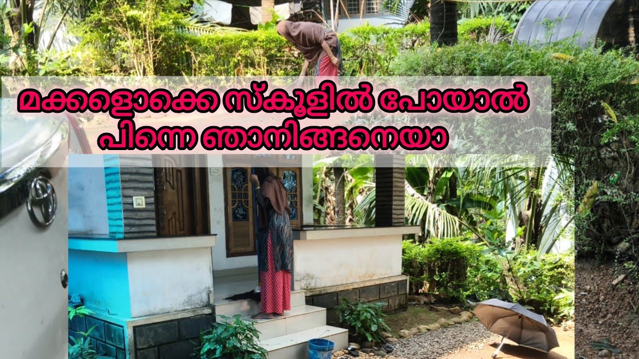 രാവിലെ മുതൽ ഉച്ചവരെ #🏠ക്ലീനിങ് #ഡെയിലി വ്ലോഗ് 