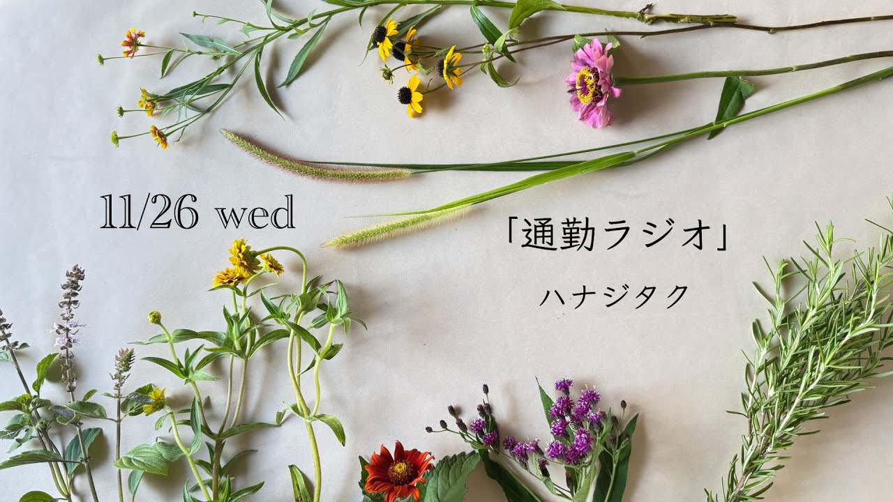 #5 ハナジタクの「通勤ラジオ」