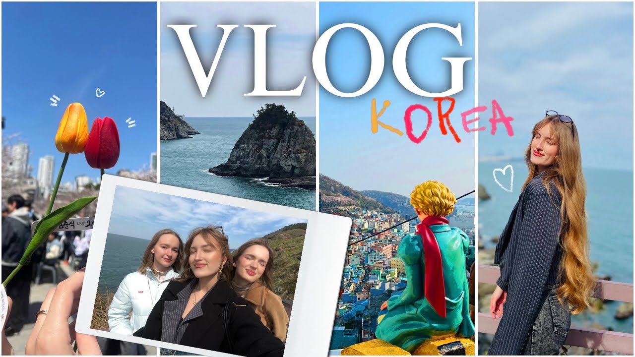 будни студента в корее  | фестиваль сакуры / остров Oryukdo / Gamcheon village #корея #учебавкорее