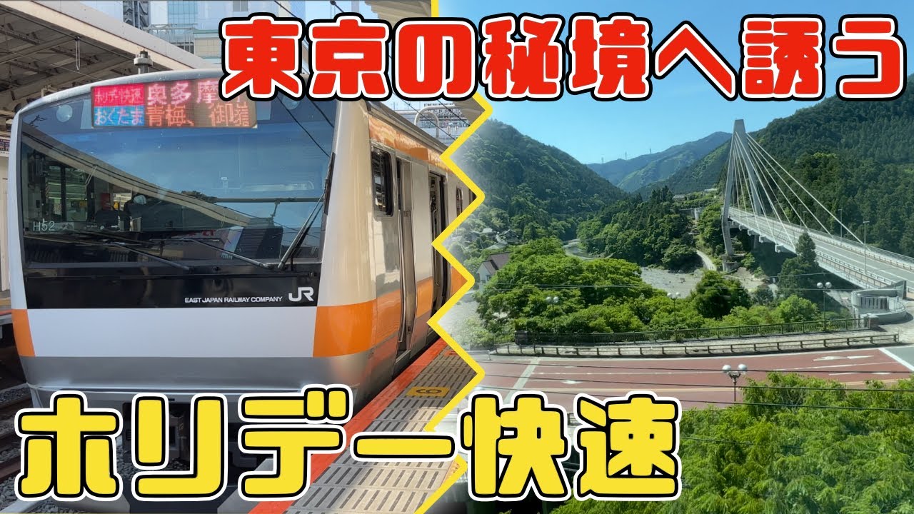 【大都会→ド田舎】土休日に運転される特別な快速に乗ってきた！！