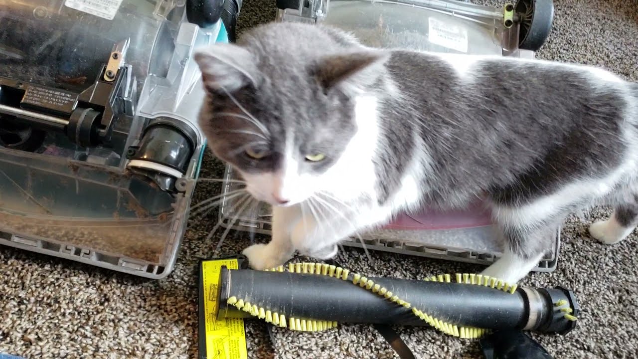 Eureka SmartVac (4870) Vacuum Repair