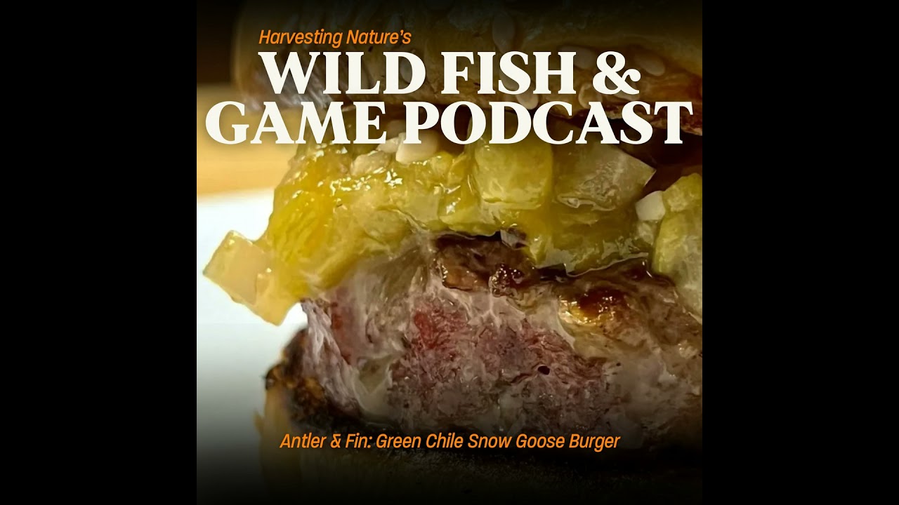 Episode 190: Chile Snow Goose Burgers and Problematic Snow Geese in North America