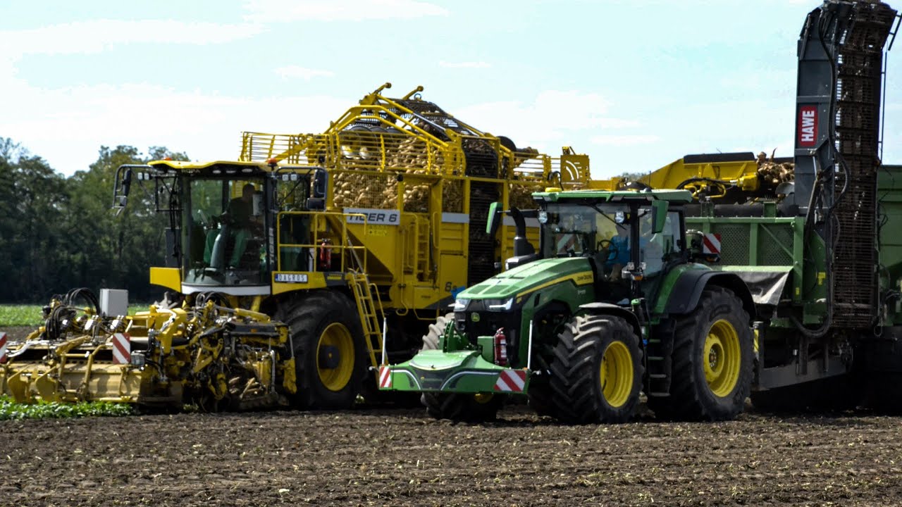 Vyor&aacute;vanie repy 2025/Donau farm/sugar beet/John Deere 8R410/Ropa tiger 6s/Ropa Maus 5
