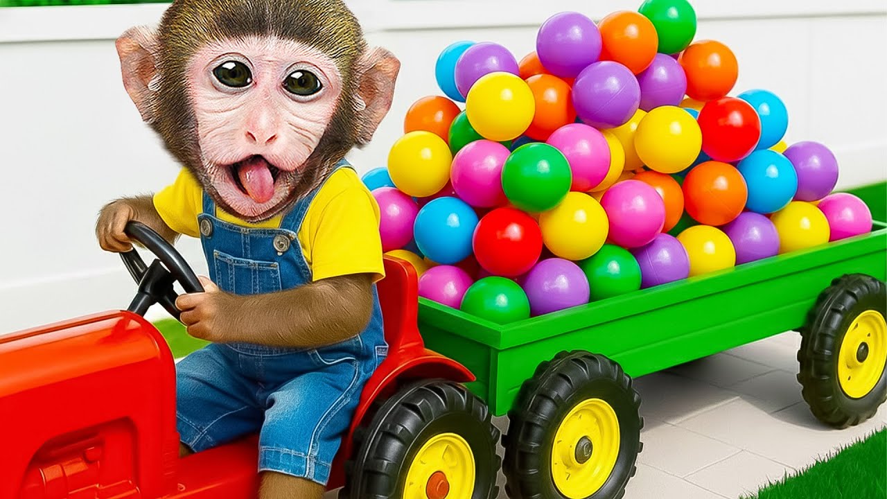 Monkey MoMo Plays Ball with Baby Monkey & Goes to School with Friends 🐒⚽ | MoMo Monkey Life