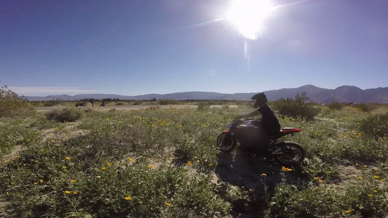 Superbloom with KoraMK2