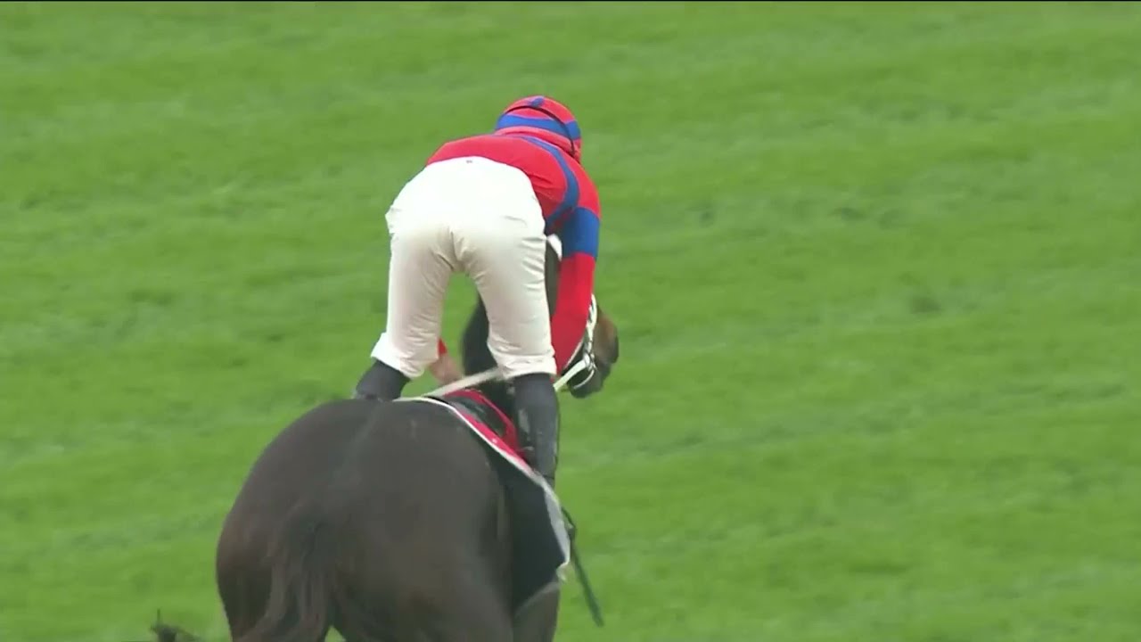 2021 George Main Stakes - Verry Elleegant