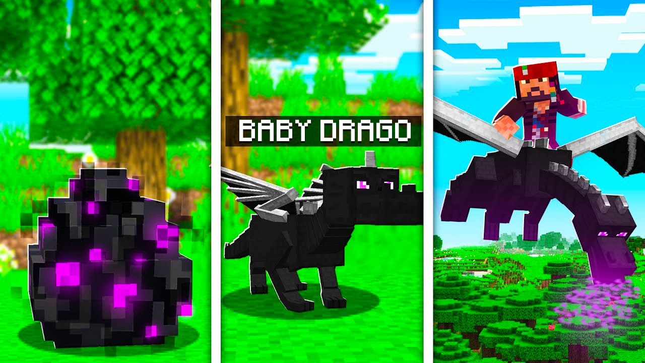 COME FARE SCHIUDERE L'UOVO DI ENDER DRAGON su MINECRAFT ITA!