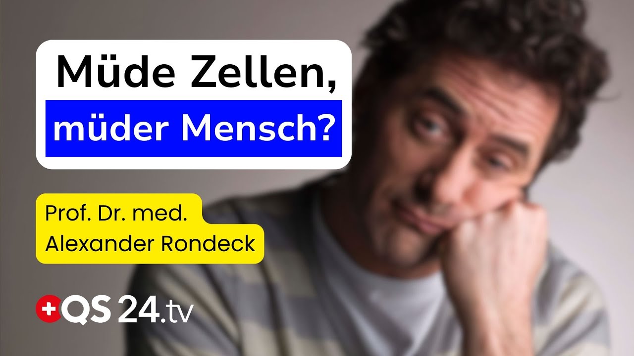 Mitochondrien – Die Energiequelle für ein langes Leben | Naturmedizin | QS24
