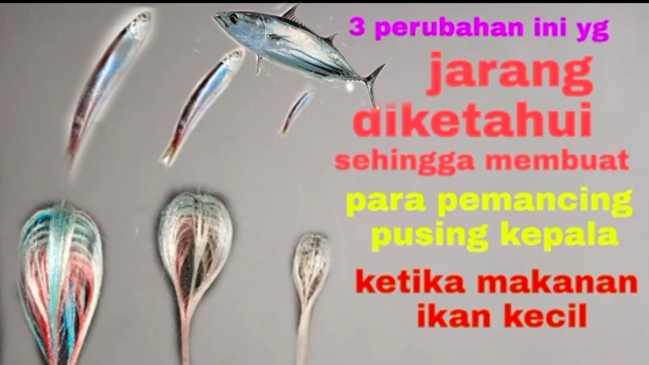 trolling untuk cakalang yang malas makan atau beby tuna papa rette mania#2022