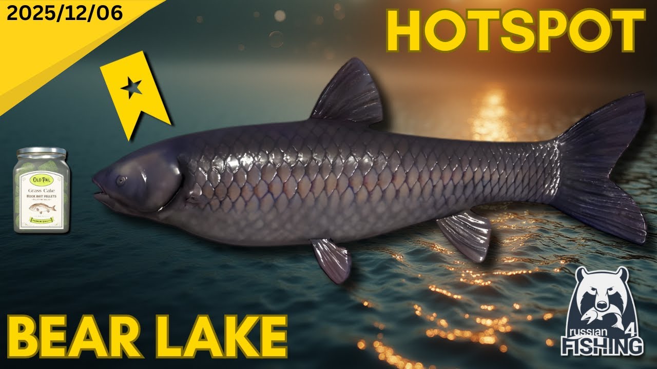 Black and Grass Carp Hotspot - Bear lake - Russian Fishing 4