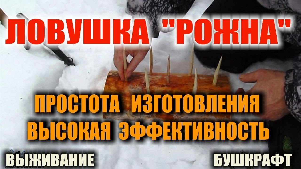 ЛОВУШКА НА ЗАЙЦА 