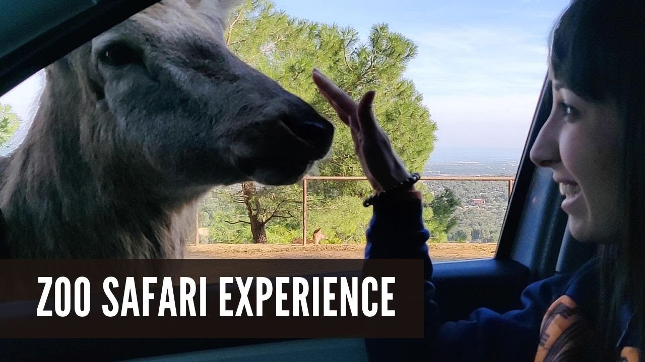 ZOO Safari Experience in Fasano Italy