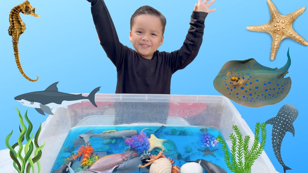 Ocean World AT HOME Sea World | Ocean Animal Toys | Rays, Sharks,  Kids Learning