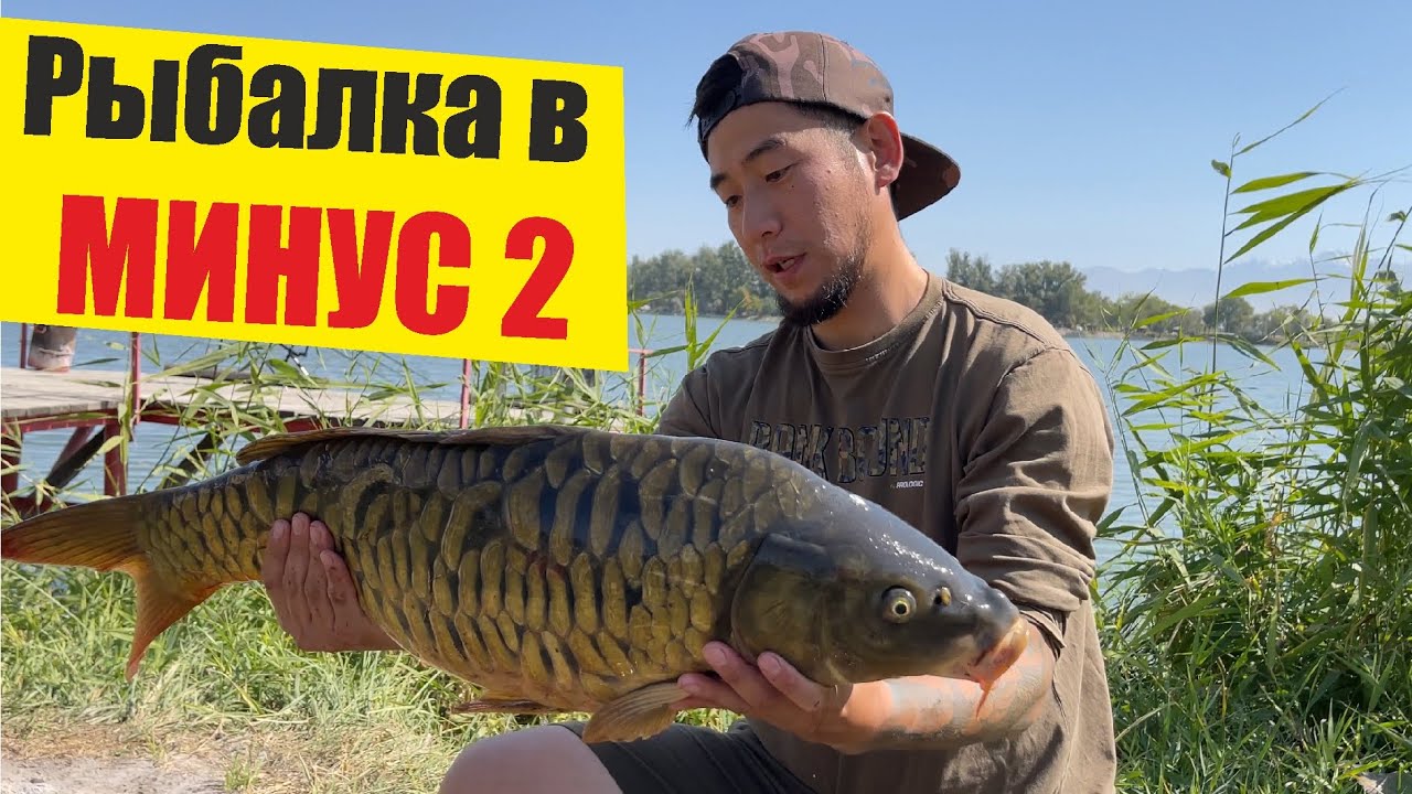 Рыбалка близ Алматы, Осень 2021, ловля КАРПА в минусовую температуру #carpfishing #fishing2021