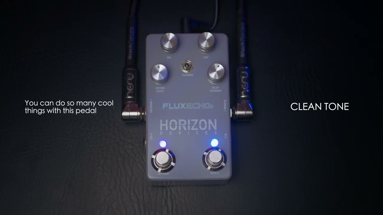 PEDAL DEMO | Horizon Devices - Flux Echo